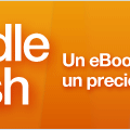Kindle Flash