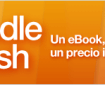 Kindle Flash